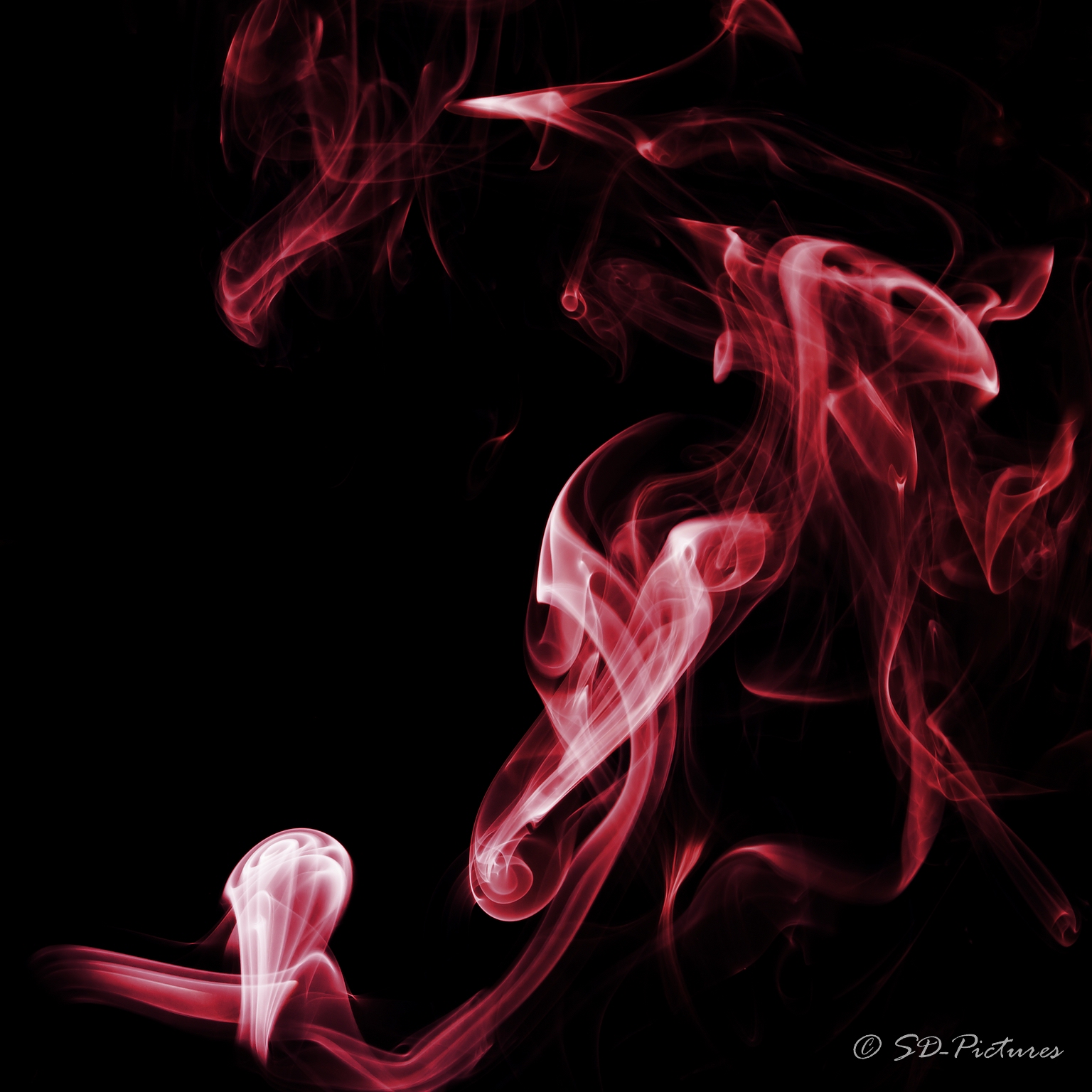 WEB  DP 3359 als Smartobjekt 1 Kopie